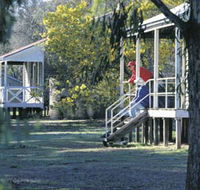 Dryandra Woodland - New Castle Tourism