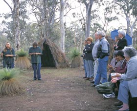 Dryandra Woodland - New Castle Tourism 2