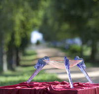 Lillico Glass Studio - Newcastle Accommodation