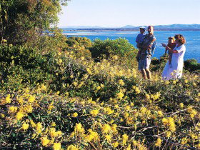 Joseph Banks Conservation Park - New Castle Tourism 0