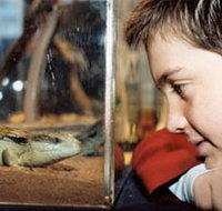 Canberra Reptile Zoo