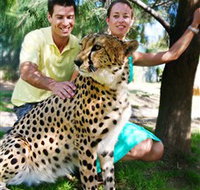 National Zoo  Aquarium - Newcastle Accommodation