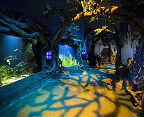 SEA LIFE Sydney Aquarium - New Castle Tourism 2