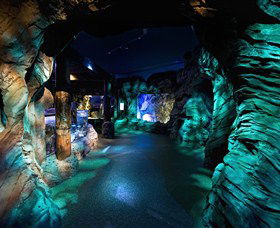 SEA LIFE Sydney Aquarium - New Castle Tourism 3
