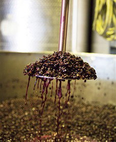 Quealy Winemakers - New Castle Tourism 6