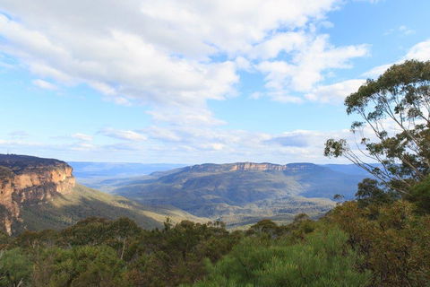 Dingo Travel - New Castle Tourism 1