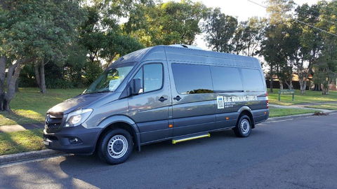 Dingo Travel - New Castle Tourism 2