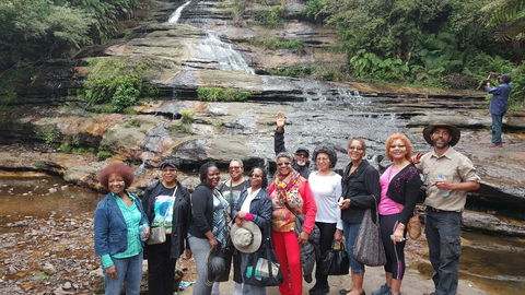 Dingo Travel - New Castle Tourism 3