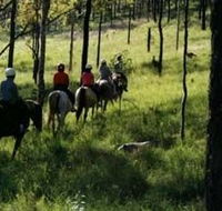 Hunter Valley Horse Riding and Adventures - Newcastle Accommodation