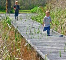 Hunter Wetlands Centre Australia - New Castle Tourism 1
