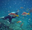 Imagine Cruises - Newcastle Accommodation