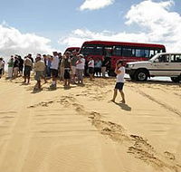 Port Stephens 4WD Tours - Newcastle Accommodation