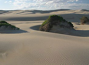 Port Stephens 4WD Tours - New Castle Tourism 1