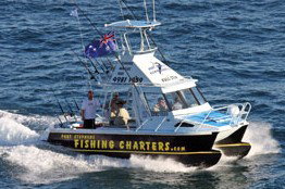 Tamboi Queen Cruises - Newcastle Accommodation 3