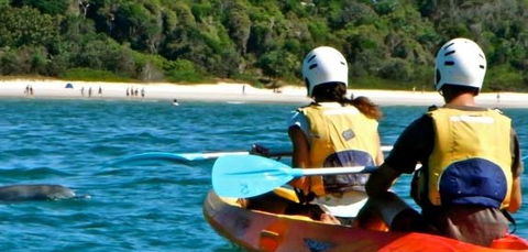 Go Sea Kayak - New Castle Tourism 2