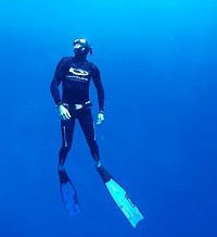 Byron Bay Dive Centre - New Castle Tourism 1