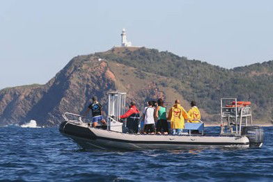 Byron Bay Dolphin Wildlife Tours - New Castle Tourism 1