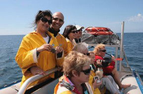 Byron Bay Dolphin Wildlife Tours - New Castle Tourism 2