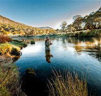 Fly Fishing Tumut - Newcastle Accommodation