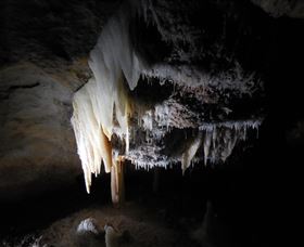 Country Charmâ„¢ Discovery Tours - New Castle Tourism 1