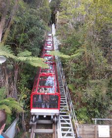 Country Charmâ„¢ Discovery Tours - New Castle Tourism 6