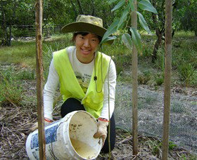 Conservation Volunteers Australia - Sydney - New Castle Tourism 1