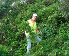 Conservation Volunteers Australia - Sydney - New Castle Tourism 2
