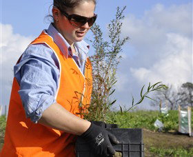 Conservation Volunteers Australia - Sydney - New Castle Tourism 3