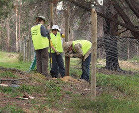 Conservation Volunteers Australia - Sydney - New Castle Tourism 4