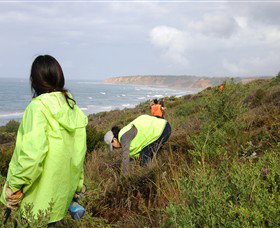 Conservation Volunteers Australia - Sydney - New Castle Tourism 5