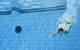 Dive Into History At Sydney Olympic Park Aquatic Centre - thumb 0