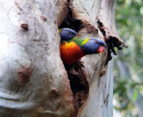 West Pennant Hills NSW Newcastle Accommodation