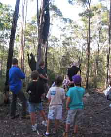 Boronia Tours - Newcastle Accommodation 1