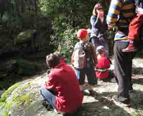 Boronia Tours - Newcastle Accommodation 2