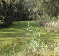 Second Ponds Creek walk