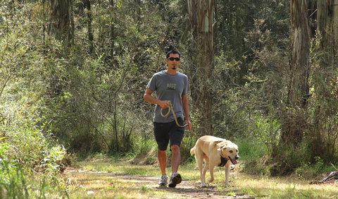 Second Ponds Creek Walk - Newcastle Accommodation 3