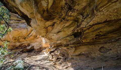 Marramarra National Park - New Castle Tourism 0