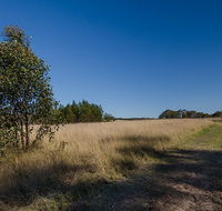 Scheyville horse riding trails - New Castle Tourism