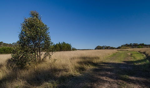 Scheyville Horse Riding Trails - New Castle Tourism 0