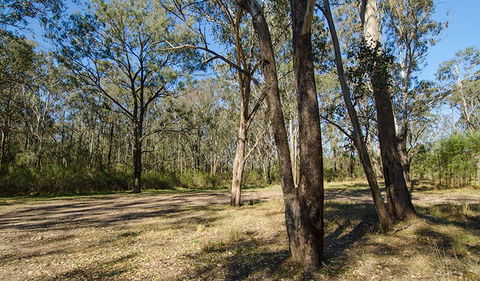 Scheyville Horse Riding Trails - New Castle Tourism 1