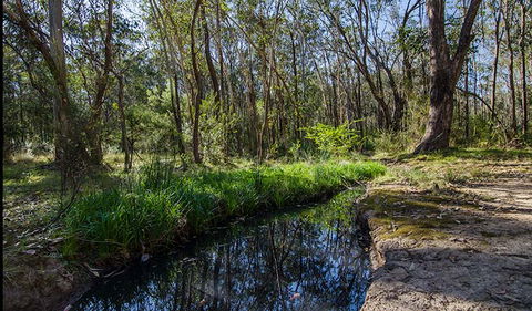 Scheyville Horse Riding Trails - New Castle Tourism 2