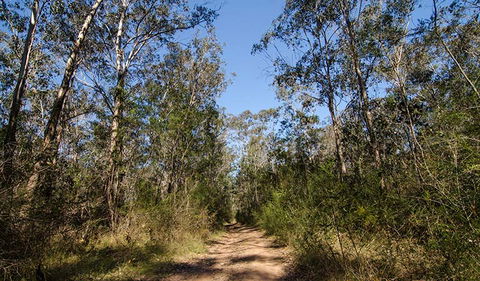 Scheyville Horse Riding Trails - New Castle Tourism 3