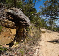 Canoelands Ridge walking track - New Castle Tourism