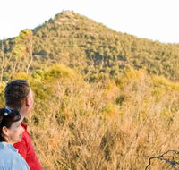 Piles Creek loop - New Castle Tourism