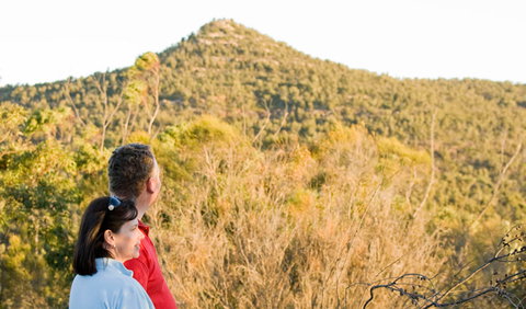 Piles Creek Loop - Newcastle Accommodation 0