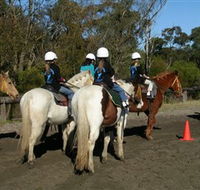 Darkes Forest Riding Ranch - Newcastle Accommodation