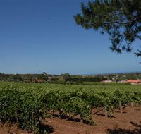 Grancari - New Castle Tourism