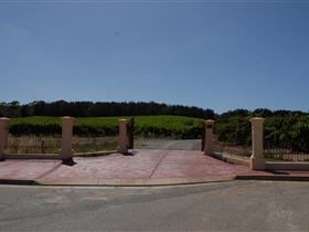 Grancari - New Castle Tourism 1