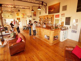 Adelaide Biplanes - Newcastle Accommodation 1