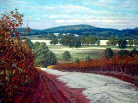 Ocean Art Gallery - Newcastle Accommodation 2